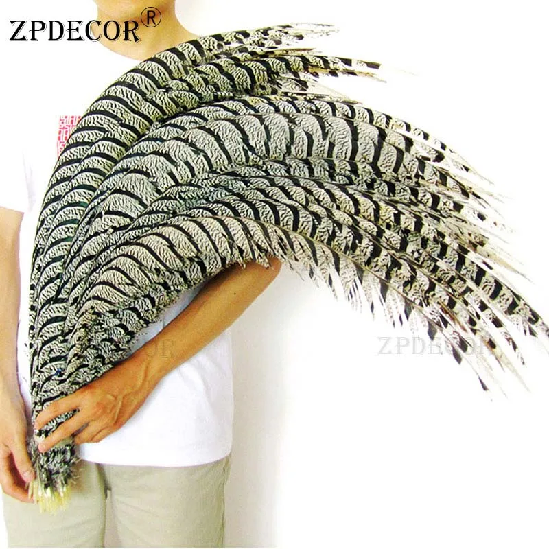 Beautiful 70-100 cm 28-40 inch Lady Amherst Pheasant Tail for craft wedding party supplies Carnival dancer decoration plumages
Beautiful 70-100 cm 28-40 inch Lady Amherst Pheasant Tail for craft wedding party supplies Carnival dancer decoration plumages