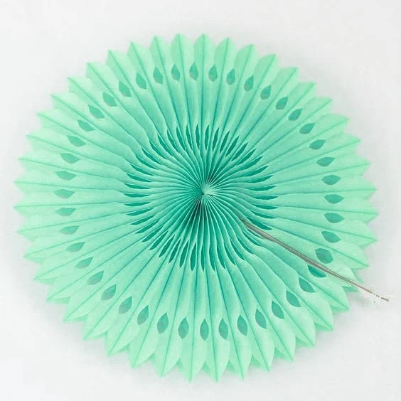 1pc Sunbeauty Birthday Decoration Mint Green Cut Out Paper Fans Pinwheels Fabric Mint Green Flower Crafts Wedding Party Supplies
1pc Sunbeauty Birthday Decoration Mint Green Cut Out Paper Fans Pinwheels Fabric Mint Green Flower Crafts Wedding Party Supplies