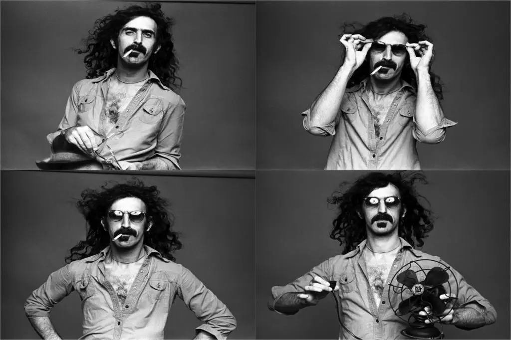 Настенный декор Холст Тканевый постер с рисунком на заказ Frank Zappa певица PRW052 для