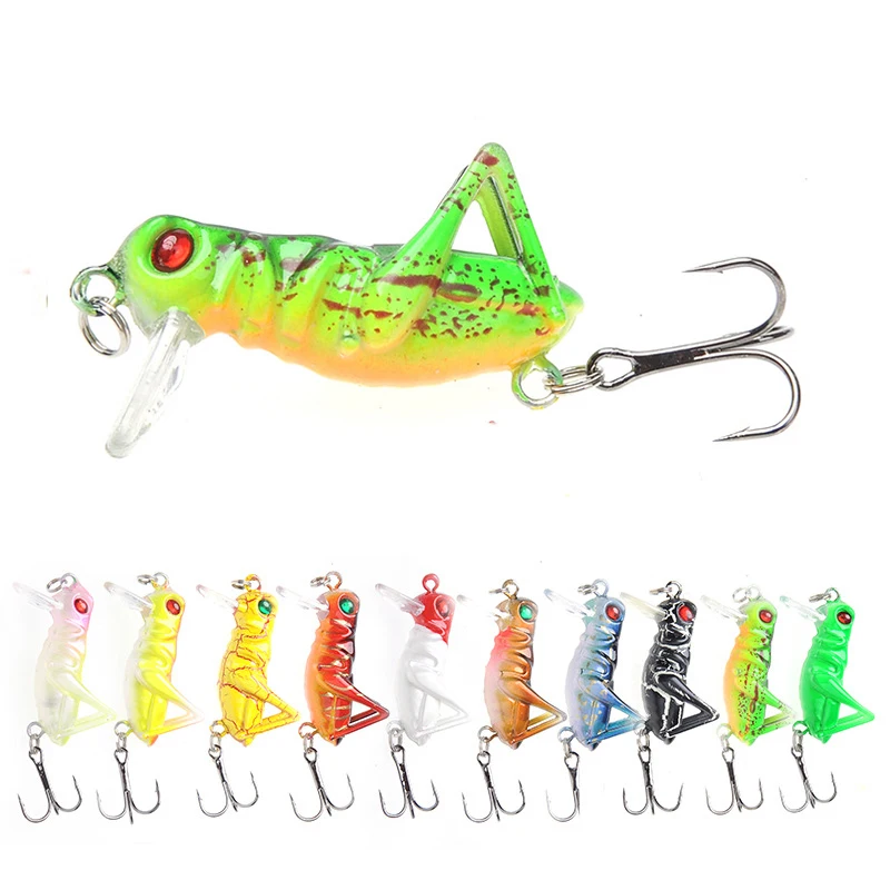 Bimoo 2pcs Carp Fishing Plastic Hopper Insect Baits Grasshopper Lures Lifelike Hard Pesca Isca Bass Wobbler Lures 4cm 10 Colors 
Bimoo 2pcs Carp Fishing Plastic Hopper Insect Baits Grasshopper Lures Lifelike Hard Pesca Isca Bass Wobbler Lures 4cm 10 Colors