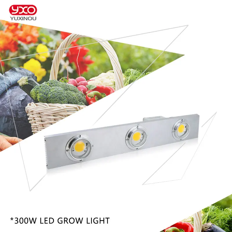 Dimmable CREE CXB3590 300W COB LED Grow Light Full Spectrum Citizen LED Growing Lamp Indoor Plant Growth Lighting
Dimmable CREE CXB3590 300W COB LED Grow Light Full Spectrum Citizen LED Growing Lamp Indoor Plant Growth Lighting