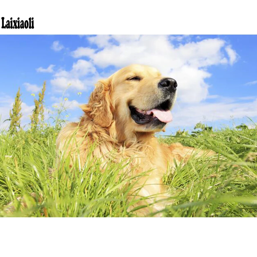 Diamond painting golden retriever Full Square 5D DIY diamond Embroidery Cross Stitch round Rhinestone diamond dog Animal picture
Diamond painting golden retriever Full Square 5D DIY diamond Embroidery Cross Stitch round Rhinestone diamond dog Animal picture
