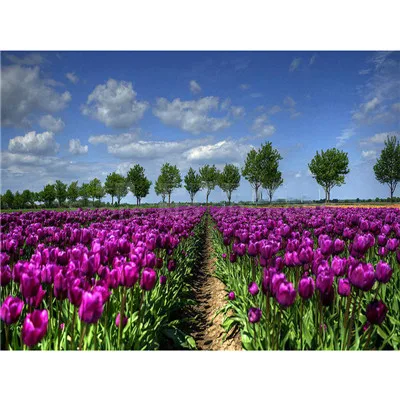 YIKEE Landscape Flower Diamond Painting Handmade Needlework DIY Diamond Embroidery Mosaic Rhinestone Picture y1164
YIKEE Landscape Flower Diamond Painting Handmade Needlework DIY Diamond Embroidery Mosaic Rhinestone Picture y1164