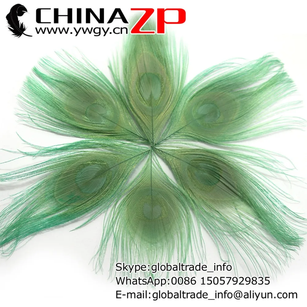 CHINAZP Factory 100pcs/lot Size 10-12cm Exporting Good Quality Dyed Mint Green Trimmed Natural Peacock Feathers 
CHINAZP Factory 100pcs/lot Size 10-12cm Exporting Good Quality Dyed Mint Green Trimmed Natural Peacock Feathers