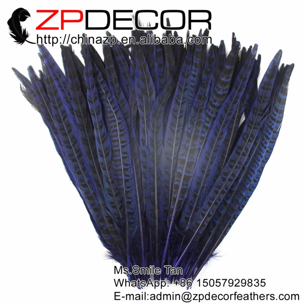ZPDECOR 100 шт 30-35 см (12-14 дюймов) непосредственно окрашенные королевские синие перья из хвоста фазана для украшения карнавального костюма
ZPDECOR 100 шт 30-35 см (12-14 дюймов) непосредственно окрашенные королевские синие перья из хвоста фазана для украшения карнавального костюма