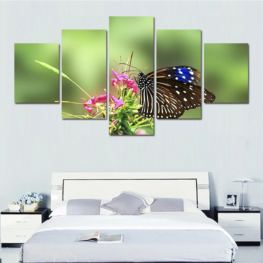 5 Pcs Beautiful Butterflies Painting Canvas Wall Art Picture Home Decoration Living Room Gift Wall Pictures Printing On Canvas
5 Pcs Beautiful Butterflies Painting Canvas Wall Art Picture Home Decoration Living Room Gift Wall Pictures Printing On Canvas