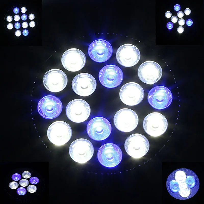 LED Aquarium Light Bulb Full Spectrum 15W/21W/36W/54W PAR38 E27 for Lighting Small Nano Coral Reef Fish Tank and Pico Aquariums
LED Aquarium Light Bulb Full Spectrum 15W/21W/36W/54W PAR38 E27 for Lighting Small Nano Coral Reef Fish Tank and Pico Aquariums