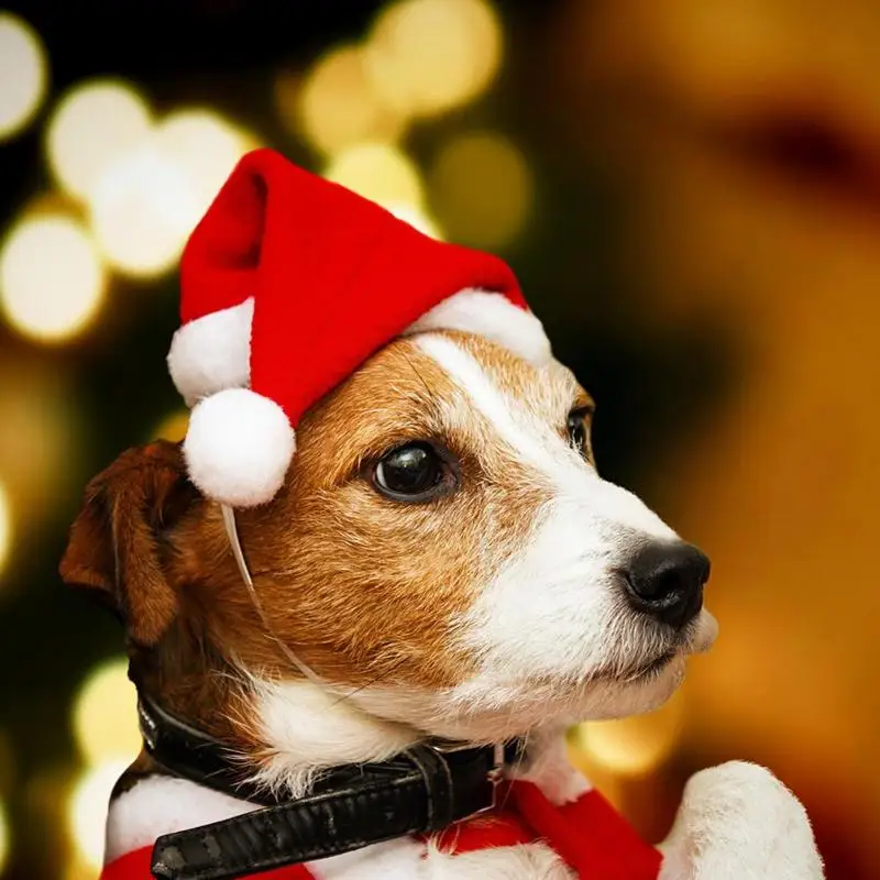 Зимние красные рождественские шапки для собак теплые шляпы щенков кошек