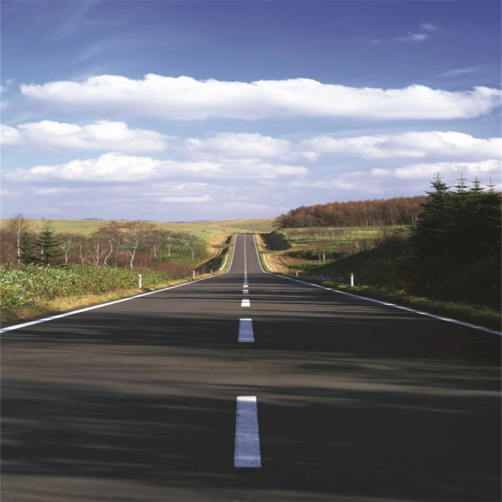 Laeacco Countryside Wild Asphalt Road Scene Photographic Backgrounds Customized Photography Backdrops For Photo Studio
Laeacco Countryside Wild Asphalt Road Scene Photographic Backgrounds Customized Photography Backdrops For Photo Studio