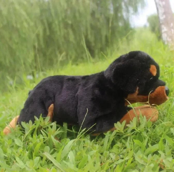 Simulation Stuffed Animals Big Toy Rottweiler Doll Plush Dogs Kids Toys Pillow Gift
Simulation Stuffed Animals Big Toy Rottweiler Doll Plush Dogs Kids Toys Pillow Gift