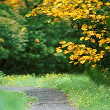 5X7 футов дорога желтые цветы листья трава фон для фотосъемки