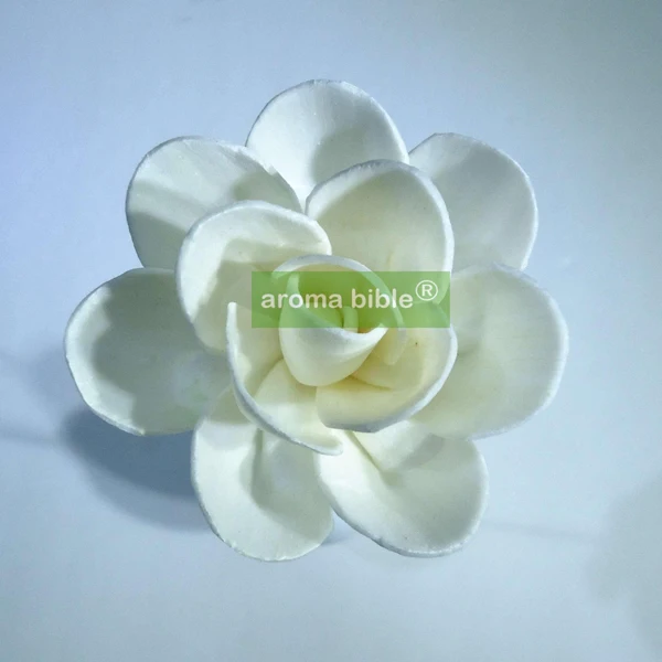 1000 pcs /lot Handmade sola wood flowers for fragrance diffuser and home decor with 12cm Rope or rattan reed sticks Top quality
1000 pcs /lot Handmade sola wood flowers for fragrance diffuser and home decor with 12cm Rope or rattan reed sticks Top quality