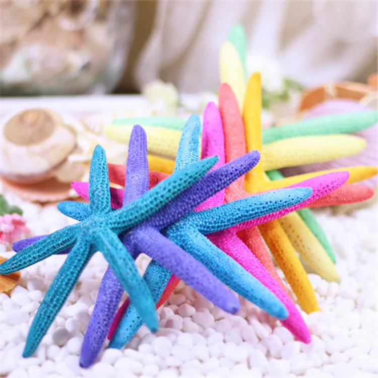 HappyKiss 10 pcs natural Starfish shells hot new home decoration Marine style wedding steamed Finger starfish 13-18cm
HappyKiss 10 pcs natural Starfish shells hot new home decoration Marine style wedding steamed Finger starfish 13-18cm