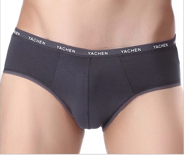 Men Thin Style Underwears Clothes mens high quality modal Briefs Underpants Man Underwears 2PCS/LOT
Men Thin Style Underwears Clothes mens high quality modal Briefs Underpants Man Underwears 2PCS/LOT
