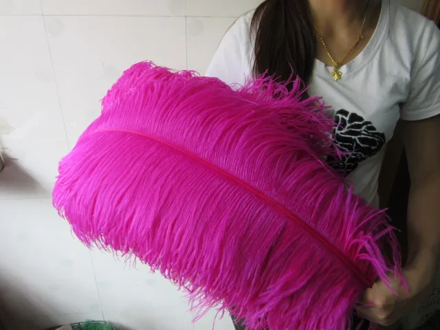 Wholesale! High quality 100 natural ostrich feathers 26-28 inches / 65-70 cm 10 colors wedding decoration DIY
Wholesale! High quality 100 natural ostrich feathers 26-28 inches / 65-70 cm 10 colors wedding decoration DIY