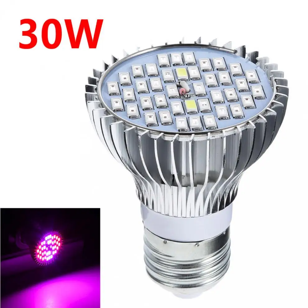 20W 200-LED Plant Grow Light E27 Red+Blue Hydroponic Flower Veg Growing Lamps
20W 200-LED Plant Grow Light E27 Red+Blue Hydroponic Flower Veg Growing Lamps