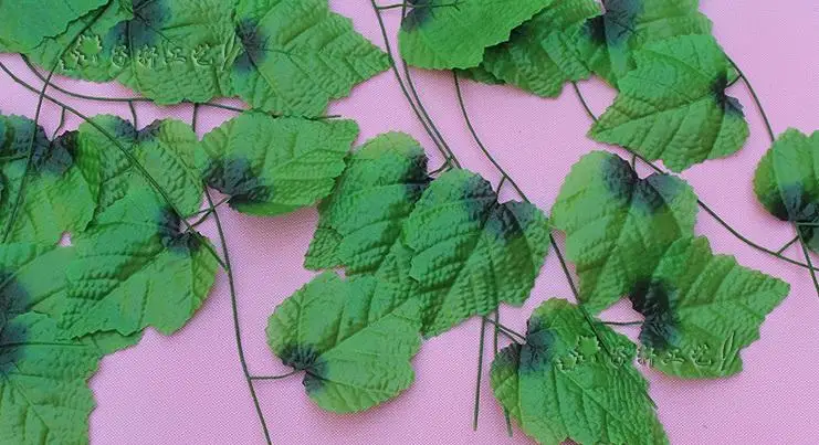 2.4M long Artificial grape large leafs Wall Hanging Green plants green ivy rattan for Home Decor Bar Restaurant Decoration
2.4M long Artificial grape large leafs Wall Hanging Green plants green ivy rattan for Home Decor Bar Restaurant Decoration