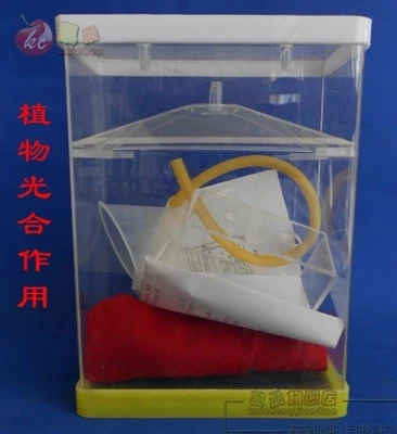 Plant photosynthesis respiration Transpiration demonstrator teaching instrument free shipping
Plant photosynthesis respiration Transpiration demonstrator teaching instrument free shipping