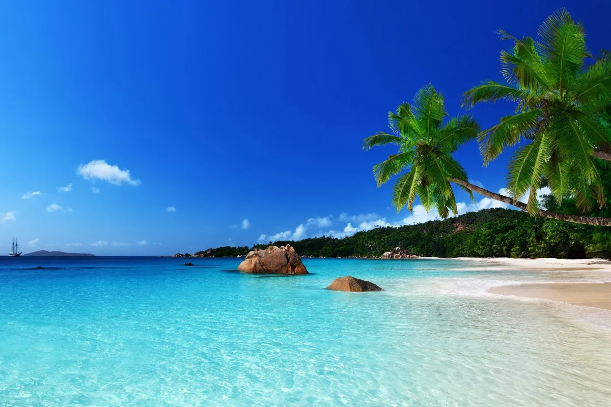 tropical paradise beach ocean 473PFJ canvas fabric poster custom print (frame available) wall decor room decor home decoration
tropical paradise beach ocean 473PFJ canvas fabric poster custom print (frame available) wall decor room decor home decoration