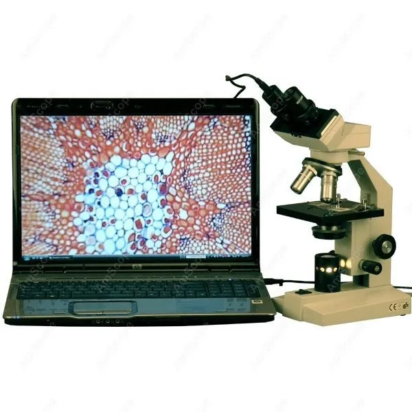 Binocular Compound Microscope--AmScope 40X-1600X LED Lab Binocular Compound Microscope w 3D Two-Layer Mechanical Stage B100-E
Binocular Compound Microscope--AmScope 40X-1600X LED Lab Binocular Compound Microscope w 3D Two-Layer Mechanical Stage B100-E