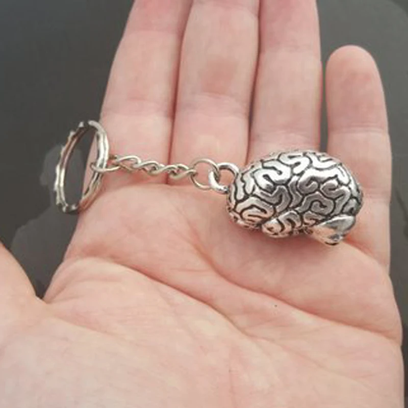 Humans Brain Keychain Anatomy 3D Charm Human Organs Body Parts Zombie Halloween Key Chains Jewelry Gifts
Humans Brain Keychain Anatomy 3D Charm Human Organs Body Parts Zombie Halloween Key Chains Jewelry Gifts