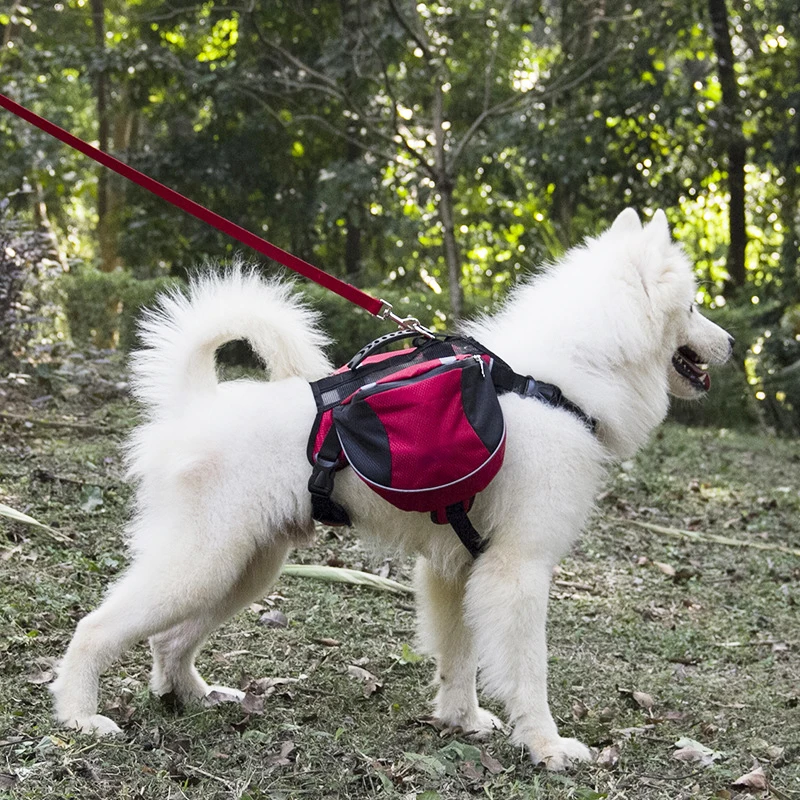 Pet Dogs Harnesses Leash Chest Back Set Outdoor Running Jogging Walk Leashes Pets Chain Large Training Dog Puppy Traction Ropes
Pet Dogs Harnesses Leash Chest Back Set Outdoor Running Jogging Walk Leashes Pets Chain Large Training Dog Puppy Traction Ropes
