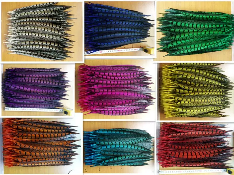 Оптовая продажа, натуральные перья фазана Amherst, 30-35 см, 12-14 дюймов, 10 шт.
Оптовая продажа, натуральные перья фазана Amherst, 30-35 см, 12-14 дюймов, 10 шт.