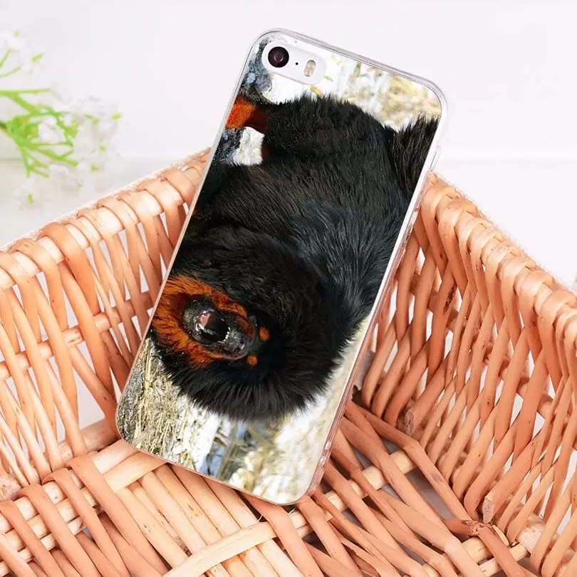 MaiYaCa Тибетский m Прозрачный мягкий ТПУ чехол для телефона iPhone 8 7 6 6S Plus X 10 5 5S SE 11pro max