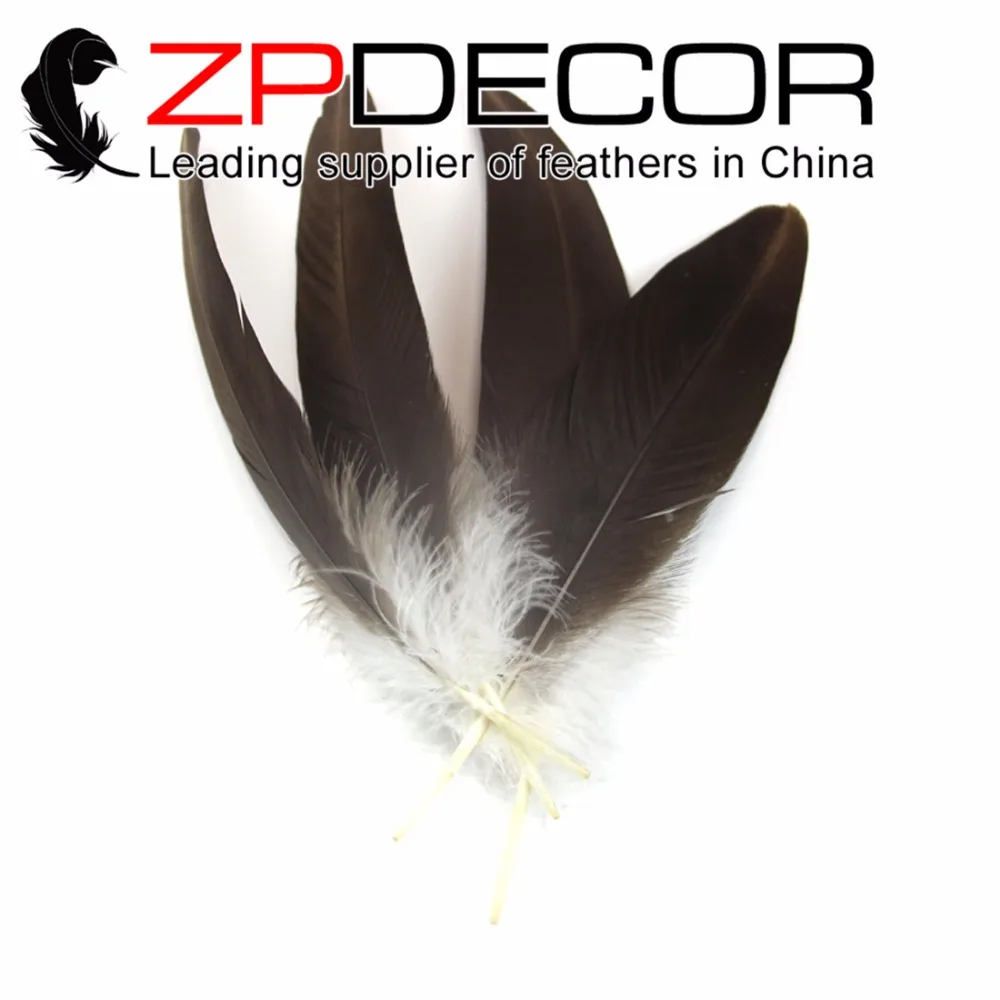 ZPDECOR оптовая продажа 25-30 см (10-12 дюймов) 50 шт./лот Редкие отбеленные натуральные серые перья Орла для украшения праздника
ZPDECOR оптовая продажа 25-30 см (10-12 дюймов) 50 шт./лот Редкие отбеленные натуральные серые перья Орла для украшения праздника