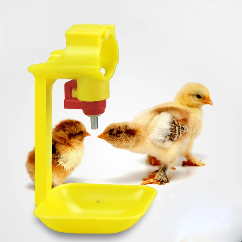 10pcs Chicken Drinking Fountain Hanging Cup Ball Nipple Drinkers Chicken Quail 25mm Pipe Automatic Nipple Waterer
10pcs Chicken Drinking Fountain Hanging Cup Ball Nipple Drinkers Chicken Quail 25mm Pipe Automatic Nipple Waterer