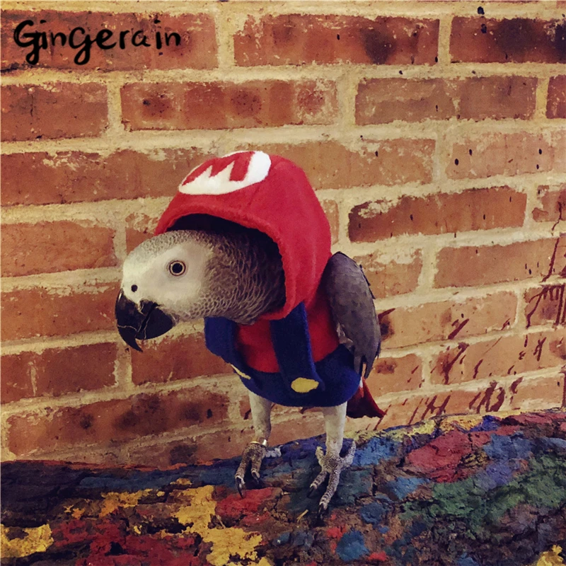 Gingerain Bird clothes Parrot clothes Super Marie original hand-made custom bird clothes Hooded Sweater Super Marie
Gingerain Bird clothes Parrot clothes Super Marie original hand-made custom bird clothes Hooded Sweater Super Marie
