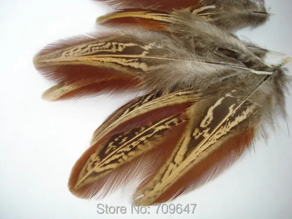 Feather for hair accessories!2000PCS/LOT 4-7cm MARBELED Wing Feathers Red Burgundy Ringneck Pheasant Feathers for Jewelry Making
Feather for hair accessories!2000PCS/LOT 4-7cm MARBELED Wing Feathers Red Burgundy Ringneck Pheasant Feathers for Jewelry Making
