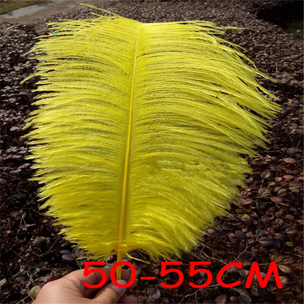 30 Pieces Yellow Natural Ostrich Feather 50-55cm Wedding DIY Fluffy Ostrich Feather Plumages Plumes sk282
30 Pieces Yellow Natural Ostrich Feather 50-55cm Wedding DIY Fluffy Ostrich Feather Plumages Plumes sk282