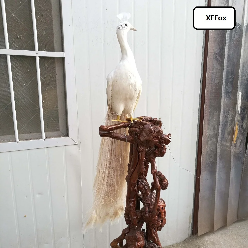 big real life white peacock model foam&feather simulation peacock bird gift about 120cm xf0560
big real life white peacock model foam&feather simulation peacock bird gift about 120cm xf0560