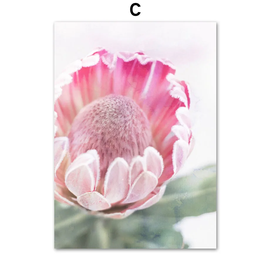 Pink Tulip King Protea Love Quote Nordic Posters And Prints Wall Art Canvas Painting Wall Pictures For Living Room Home Decor
Pink Tulip King Protea Love Quote Nordic Posters And Prints Wall Art Canvas Painting Wall Pictures For Living Room Home Decor