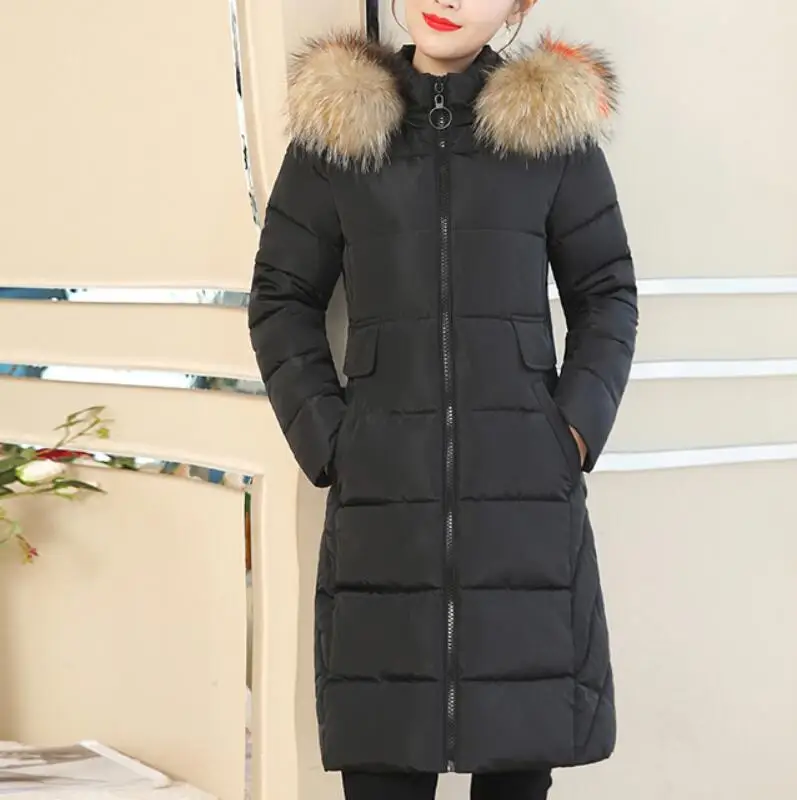 Winter cotton clothing female 2018 new color large fur collar down jacket cotton winter jacket Korean Slim long cotton coat
Winter cotton clothing female 2018 new color large fur collar down jacket cotton winter jacket Korean Slim long cotton coat