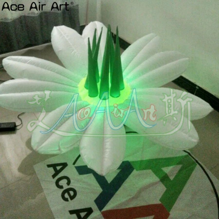 Customized led inflatable flower,lighting lutos model,party stage wedding club decoration for sale
Customized led inflatable flower,lighting lutos model,party stage wedding club decoration for sale
