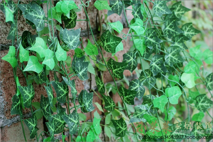 Hot Selling Simulation Ivy Climbing Vines Green Leaf Artificial Silk Virginia Creeper Wall Decoration Home Decor 60pcs/lot
Hot Selling Simulation Ivy Climbing Vines Green Leaf Artificial Silk Virginia Creeper Wall Decoration Home Decor 60pcs/lot