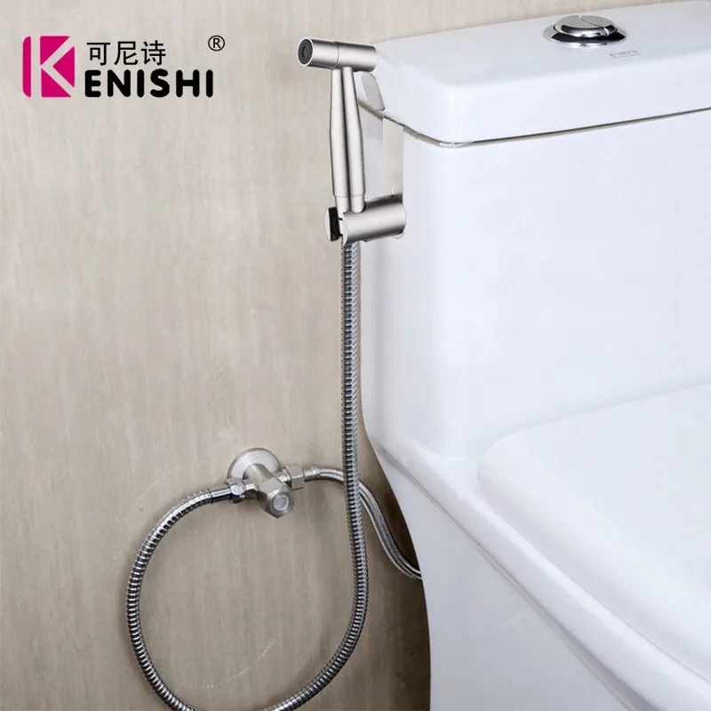 KENISHI 2 функция way из нержавеющей стали Биде опрыскиватель для туалета смывной