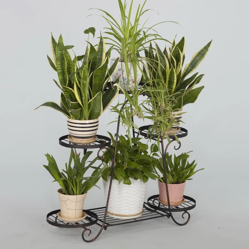 Six-layer Wrought Iron Creative Multi-layer Flower Stand, Green Squirrel Hanging Orchid Shelf, Living Room Indoor Floor Pot Rack
Six-layer Wrought Iron Creative Multi-layer Flower Stand, Green Squirrel Hanging Orchid Shelf, Living Room Indoor Floor Pot Rack