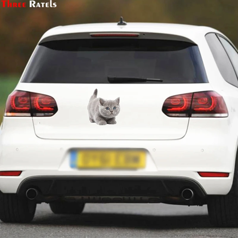 Three Ratels LCS453# 12.8x14см прекрасный кот полноцветные наклейки на авто машину наклейка