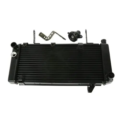 Motorcycle black Replacement Radiator Cooler For Suzuki SV1000S SV1000 2003-2008 2004 2005 2006 2007
Motorcycle black Replacement Radiator Cooler For Suzuki SV1000S SV1000 2003-2008 2004 2005 2006 2007