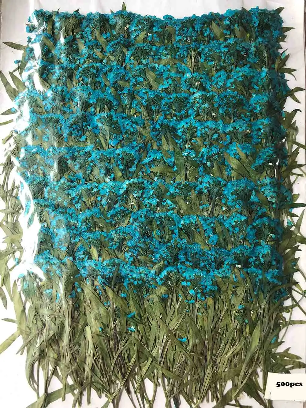 500pcs Pressed Dried Blue Lobularia Maritima FlowerPlant Herbarium Jewelry Postcard Bookmark Phone Case Invitation Card DIY
500pcs Pressed Dried Blue Lobularia Maritima FlowerPlant Herbarium Jewelry Postcard Bookmark Phone Case Invitation Card DIY