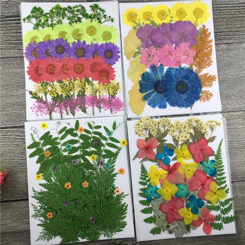 Mixed Dried Pressed Flower+ Leaf Leaves Plants Herbarium For Jewelry Postcard Photo Frame Phone Case Making DIY 4 Designs Pick
Mixed Dried Pressed Flower+ Leaf Leaves Plants Herbarium For Jewelry Postcard Photo Frame Phone Case Making DIY 4 Designs Pick