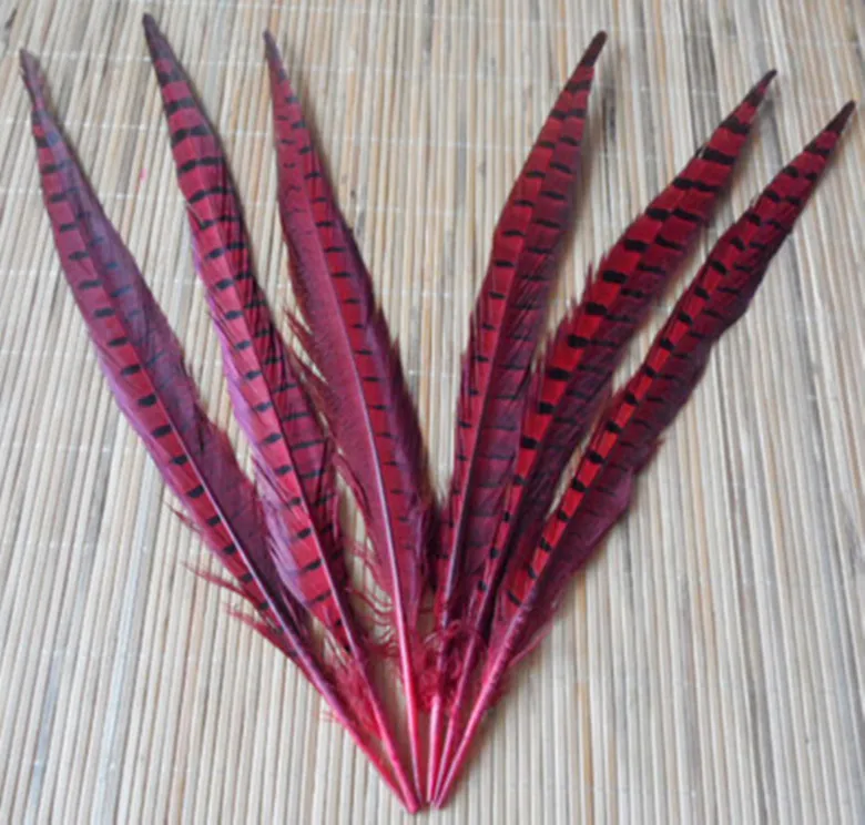 100pcs for dyeing natural red pheasant tail feathers 30 to 35 cm feather decorations wholesale
100pcs for dyeing natural red pheasant tail feathers 30 to 35 cm feather decorations wholesale