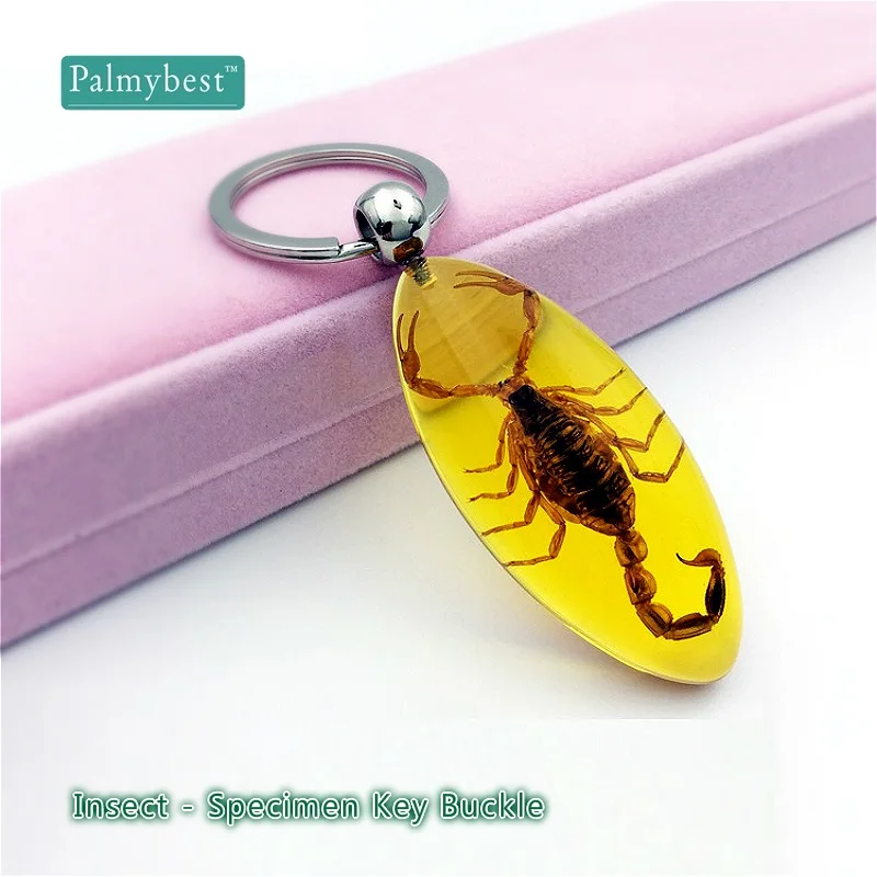 Insect Artificial Amber Keychain Water Drop Shaped Scorpion Specimen Decoration Crafts Mascot Gift Accessories 1piece
Insect Artificial Amber Keychain Water Drop Shaped Scorpion Specimen Decoration Crafts Mascot Gift Accessories 1piece
