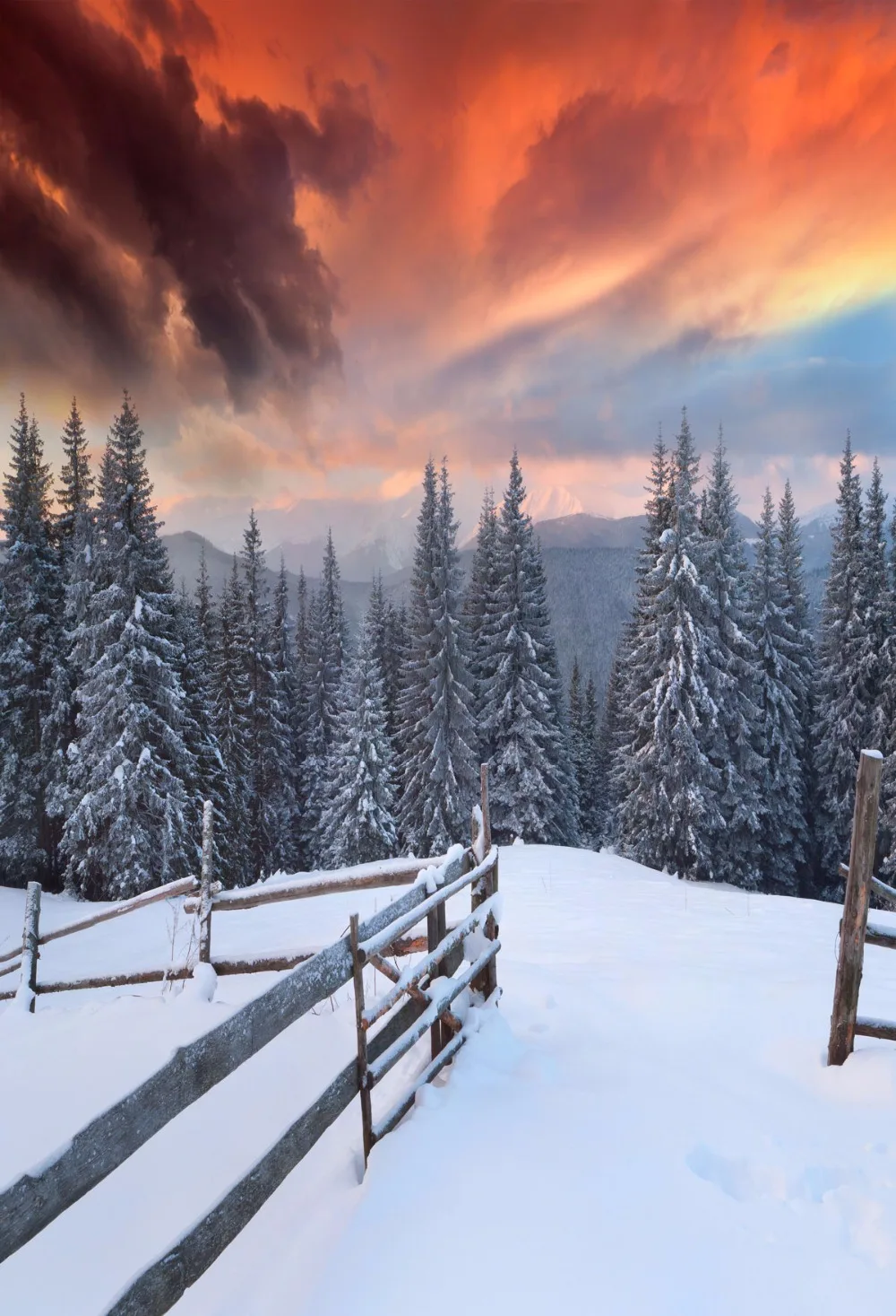 VinylBDS Christmas Photography Background Snow Sunset Custom Photo Backdrops Wedding Washable Photography Studio Photo Prop
VinylBDS Christmas Photography Background Snow Sunset Custom Photo Backdrops Wedding Washable Photography Studio Photo Prop