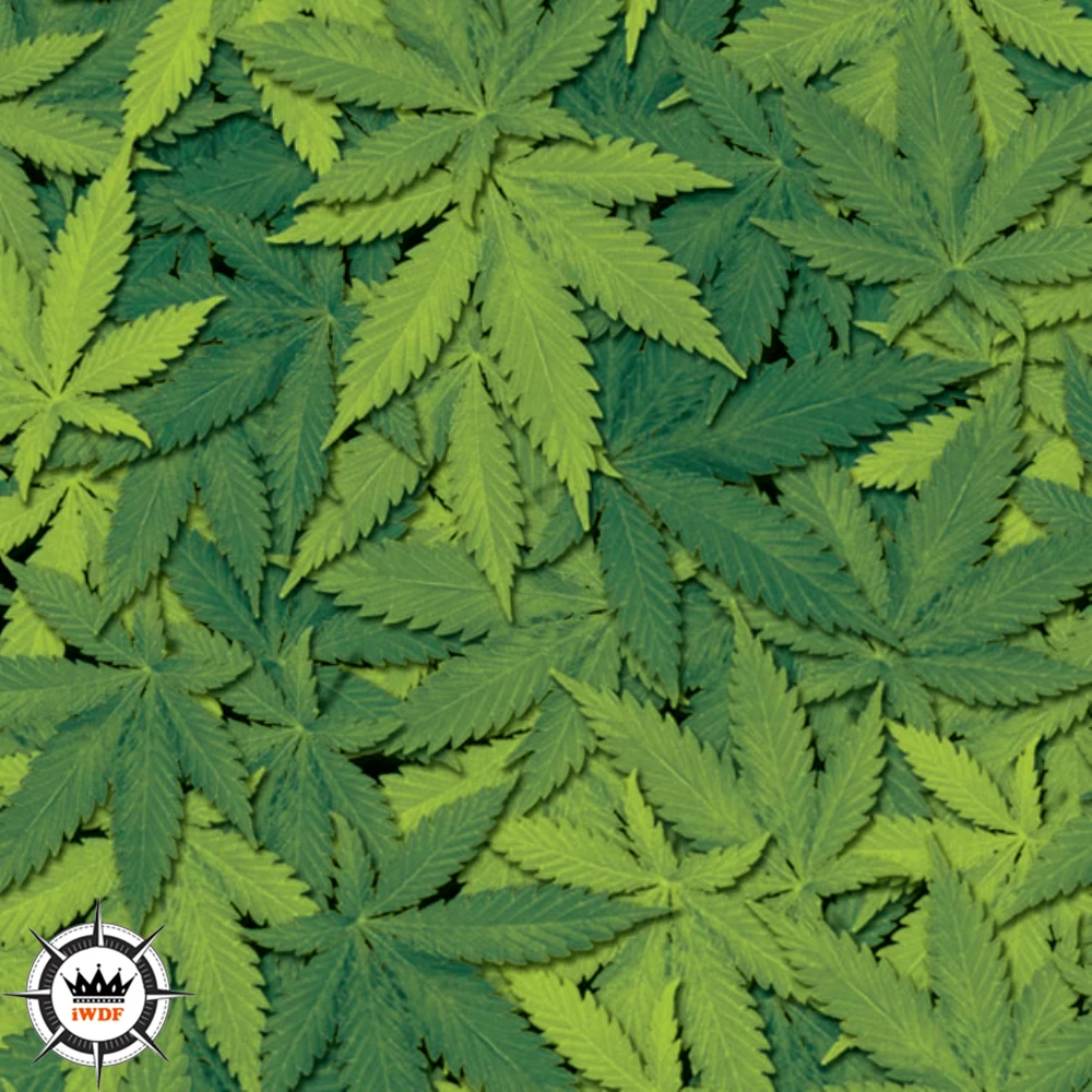 Пленка для акватрансферной печати, 2 м/6 м/10 м, ширина 50 см, пленка для акватрансферной печати WDF433 
Пленка для акватрансферной печати, 2 м/6 м/10 м, ширина 50 см, пленка для акватрансферной печати WDF433