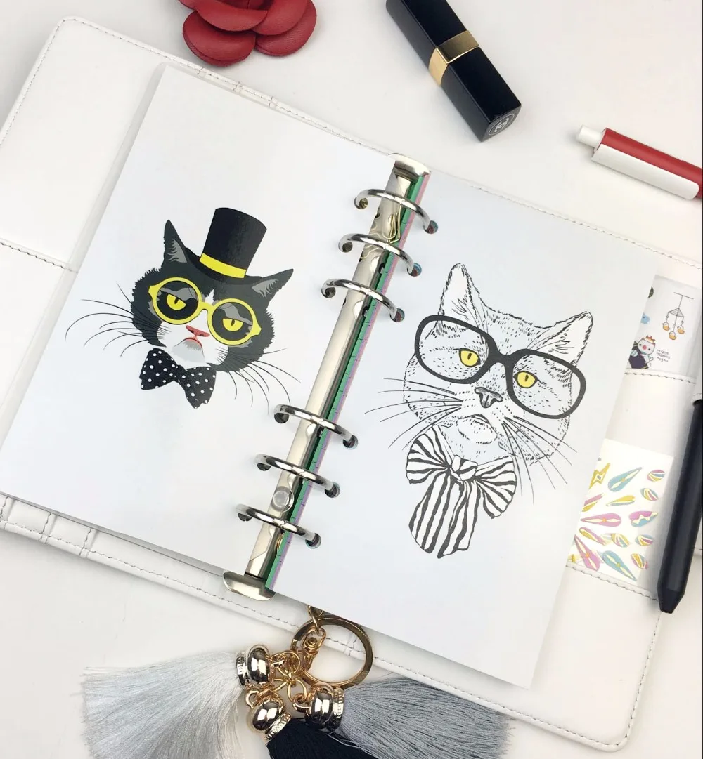 Filofax разделитель отдельные страницы Кот Лев в стекле Творческий матч для 6