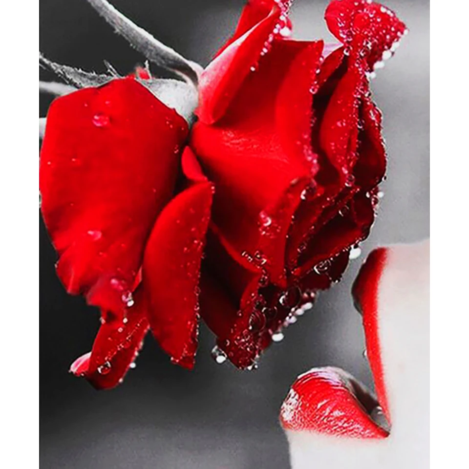 Old Street Home Rose DIY Crystal full 5D plastic diamond painting cross stitch kit art 3Dmosaic square rhinestone
Old Street Home Rose DIY Crystal full 5D plastic diamond painting cross stitch kit art 3Dmosaic square rhinestone